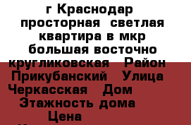 г.Краснодар, просторная, светлая квартира в мкр большая восточно-кругликовская › Район ­ Прикубанский › Улица ­ Черкасская › Дом ­ 129/1 › Этажность дома ­ 16 › Цена ­ 11 000 - Краснодарский край, Краснодар г. Недвижимость » Квартиры аренда   . Краснодарский край,Краснодар г.